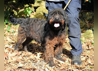 Rufino - 10 Schritte