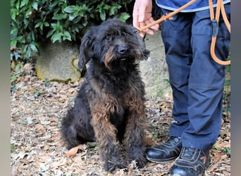 Rufino - 10 Schritte