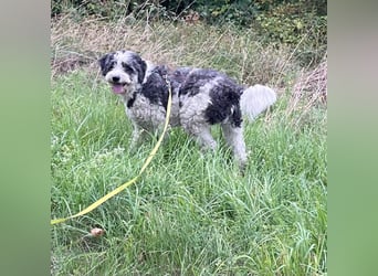 Lui - dem Elend entkommen.  Jetzt sucht Lui Menschen, die ihn "sehen"  und verstehen
