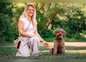 LaCody - ruhiger Zeitgenosse - Tierhilfe Franken e.V.