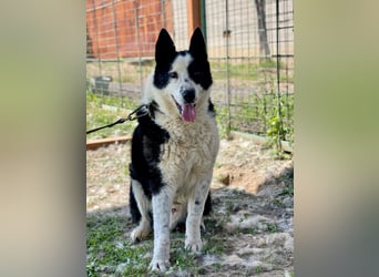 BURAN- sucht Altersruhesitz