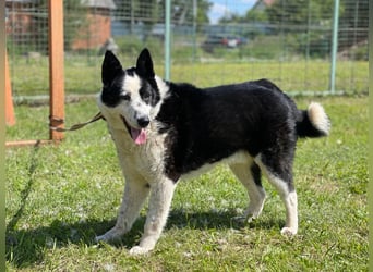 BURAN- sucht Altersruhesitz