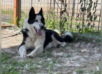 BURAN- sucht Altersruhesitz