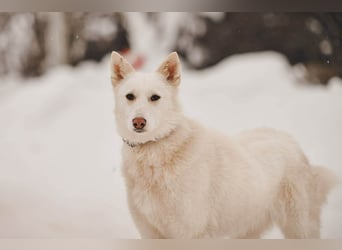 Selbstbewusste Kiwa sucht ihre Menschen