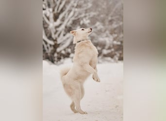 Selbstbewusste Kiwa sucht ihre Menschen