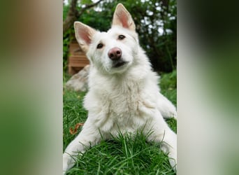 Fröhliche Kiwa sucht ihre Menschen