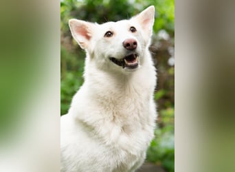 Fröhliche Kiwa sucht ihre Menschen
