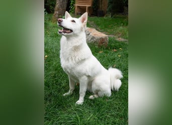 Fröhliche Kiwa sucht ihre Menschen
