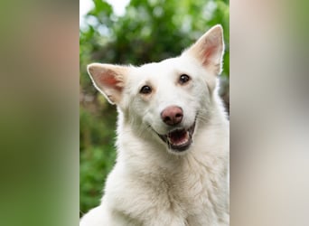 Fröhliche Kiwa sucht ihre Menschen
