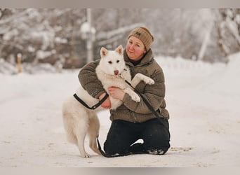 Selbstbewusste Kiwa sucht ihre Familie