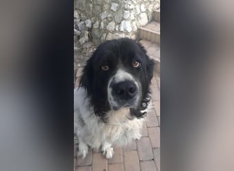 Donna von kettenlos Donna von kettenlos