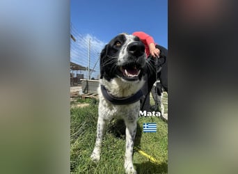 Mata - liebevoll und lernwillig