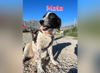 Mata - wartet in 86529 Schrobenhausen