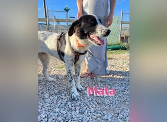 Mata - wartet in 86529 Schrobenhausen