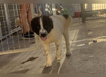 Caramela: sie liebt das Leben