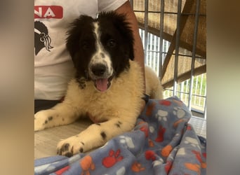 Caramela: sie liebt das Leben