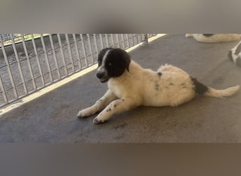 Caramela: sie liebt das Leben