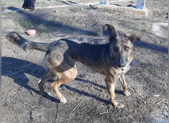 Darf Gitta bei dir ankommen?