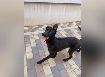 Radja ist bereit für ihr neues Leben !