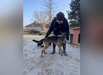 Darf Gitta bei dir ankommen?