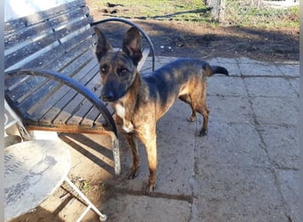 Darf Gitta bei dir ankommen?