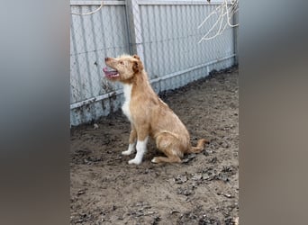 Arif möchte geliebt werden