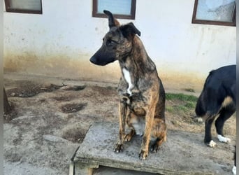 Darf Gitta bei dir ankommen?