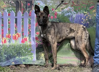 Darf Gitta bei dir ankommen?