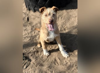 Arif möchte geliebt werden