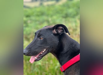 Csöppke-BE – Sensible Dame sucht Halt und Herz