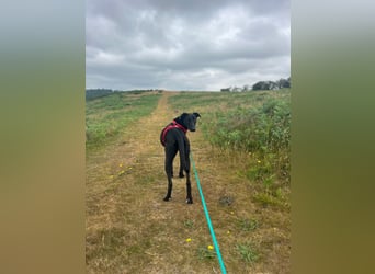 Csöppke-BE – Sensible Dame sucht Halt und Herz