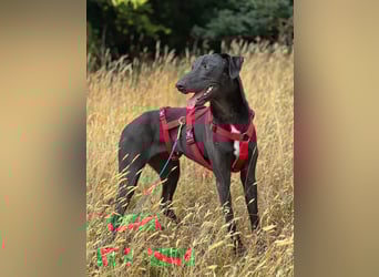 Csöppke-BE – Sensible Dame sucht Halt und Herz