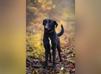 Csöppke-BE – Sensible Dame sucht Halt und Herz