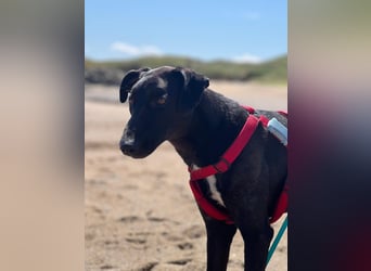 Csöppke-BE – Sensible Dame sucht Halt und Herz