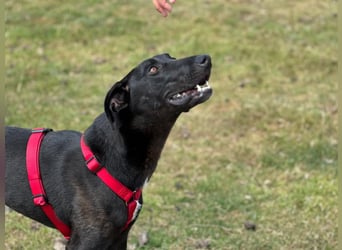 Csöppke-BE – Sensible Dame sucht Halt und Herz
