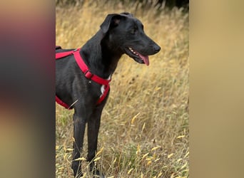 Csöppke-BE – Sensible Dame sucht Halt und Herz