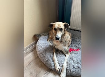 Balou wünscht sich aktive souveräne Menschen