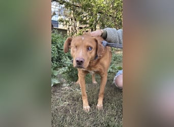 Jack - ein kleiner Kämpfer