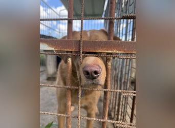 Jack - ein kleiner Kämpfer