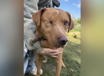 Jack - ein kleiner Kämpfer