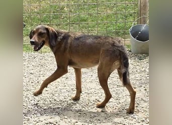 Freya eine gutmütige zarte Seele