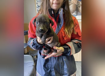 Lipot, einer von vielen Geschwisterchen