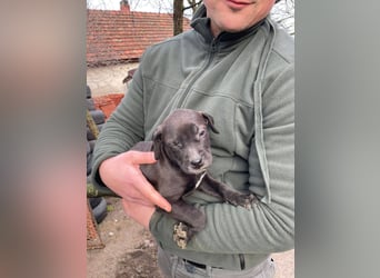 Lucas freut sich auf ein schönes Plätzchen