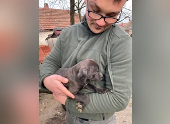 Lucas freut sich auf ein schönes Plätzchen