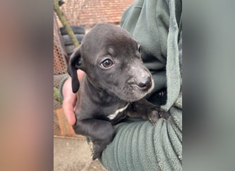 Lucas freut sich auf ein schönes Plätzchen