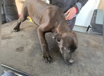 Lipot, einer von vielen Geschwisterchen