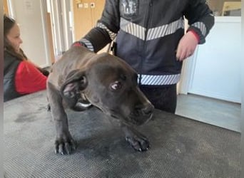 Lucas freut sich auf ein schönes Plätzchen