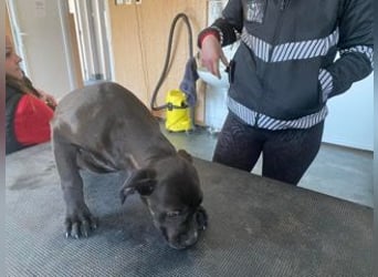 Lucas freut sich auf ein schönes Plätzchen