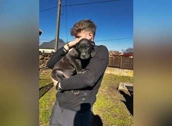 Lucas freut sich auf ein schönes Plätzchen