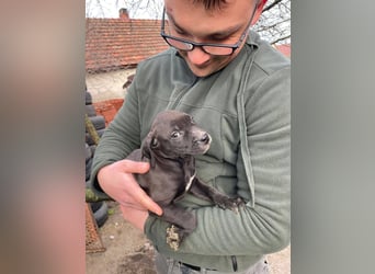 Lucas freut sich auf ein schönes Plätzchen